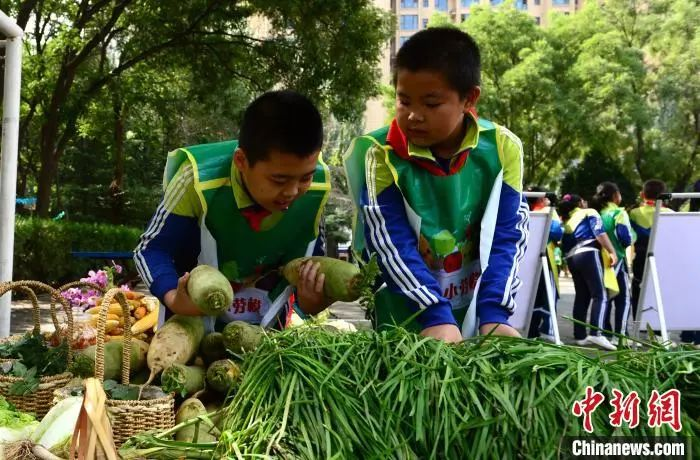 資料圖:2020年9月25日,蘭州市紅山根小學(xué)“心根農(nóng)莊”里上演了一場特別的豐收節(jié)會。 崔琳 攝